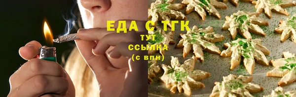 тгк Абаза