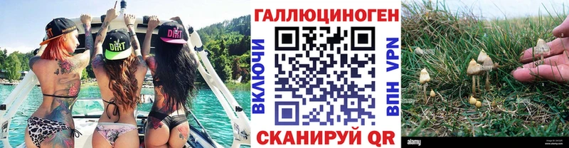 Галлюциногенные грибы GOLDEN TEACHER  Ильский 